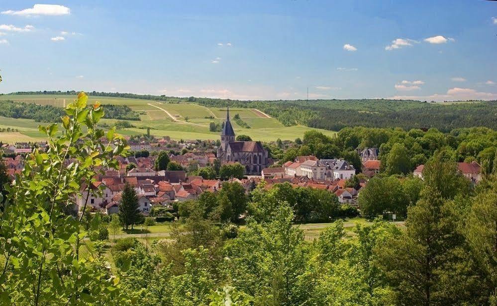 Bed and Breakfast La Promenade En Champagne Mussy-sur-Seine Экстерьер фото